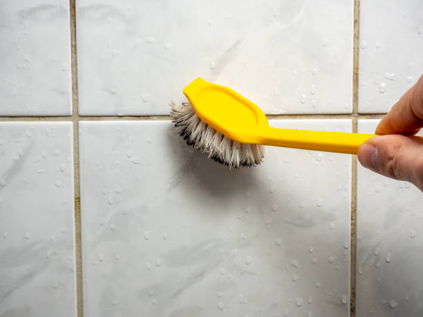 Best Professional Mold Removal  in Darlington, WI