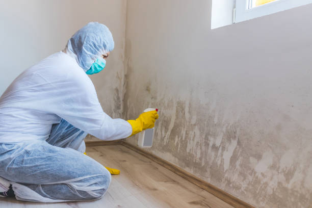 Crawl Space Mold Removal in Darlington, WI